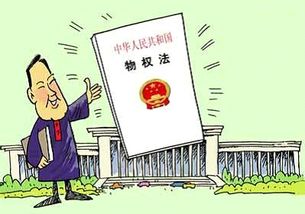 邻居屋前栽树遮住我家阳光怎么办,邻居大面积种树影响我家采光