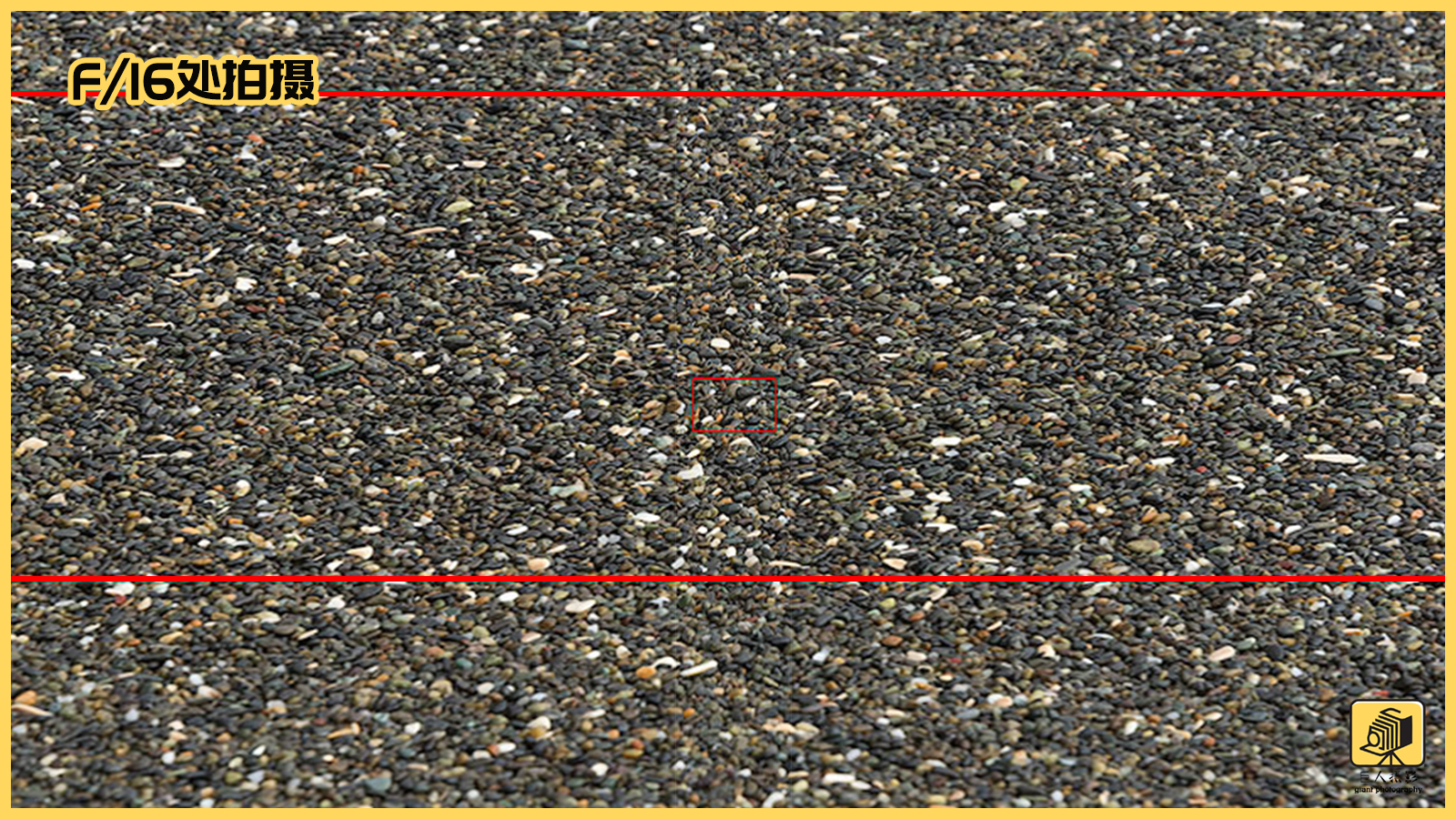 摄影基础光圈和景深的区别,摄影新手必须掌握的光圈用法