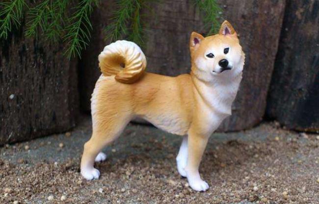 狗狗出门叫不过来怎么训练,狗狗一出笼子就兴奋乱跑怎么训练