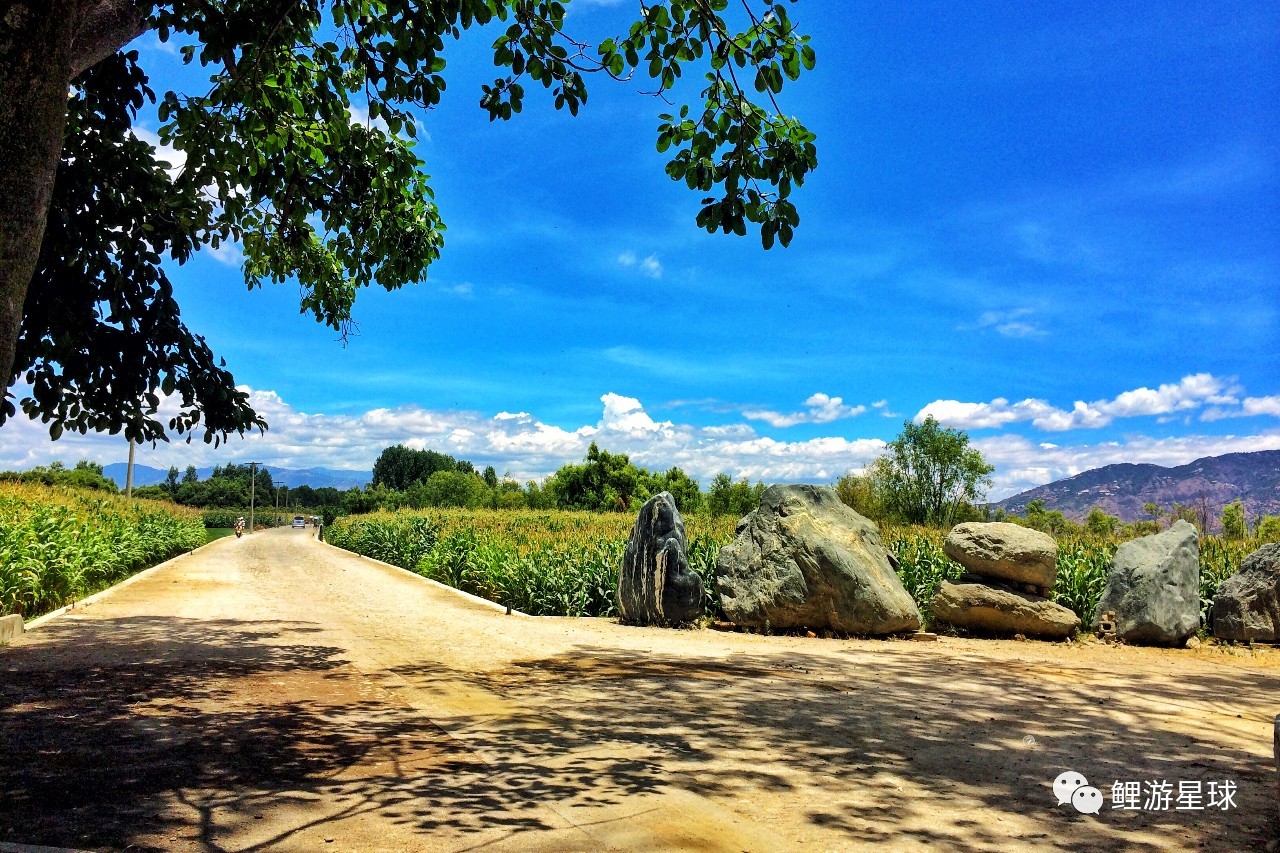 云南大理洱海网红景点打卡,云南大理好看的风景打卡处