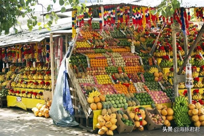 斯里兰卡旅游攻略机票,斯里兰卡当地购物攻略