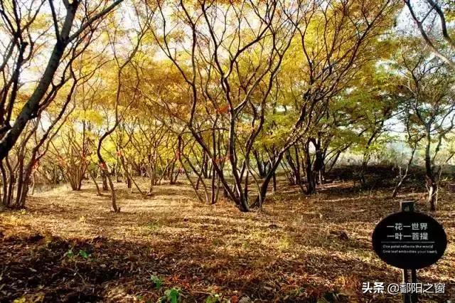 大海温泉,大海温泉度假村