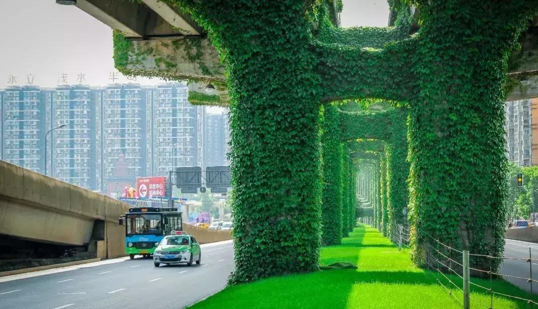 成都的干净程度,成都的街道名为什么好听