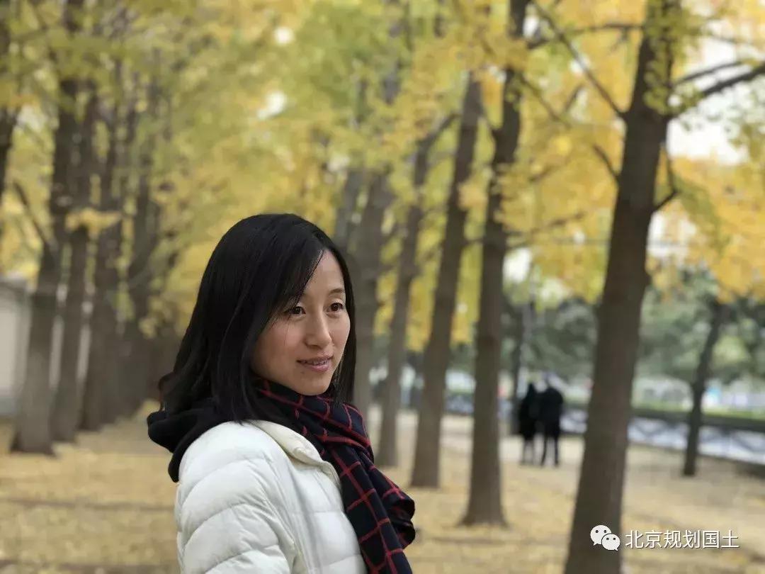 北京规划方案是谁提出的,北京规划发展史