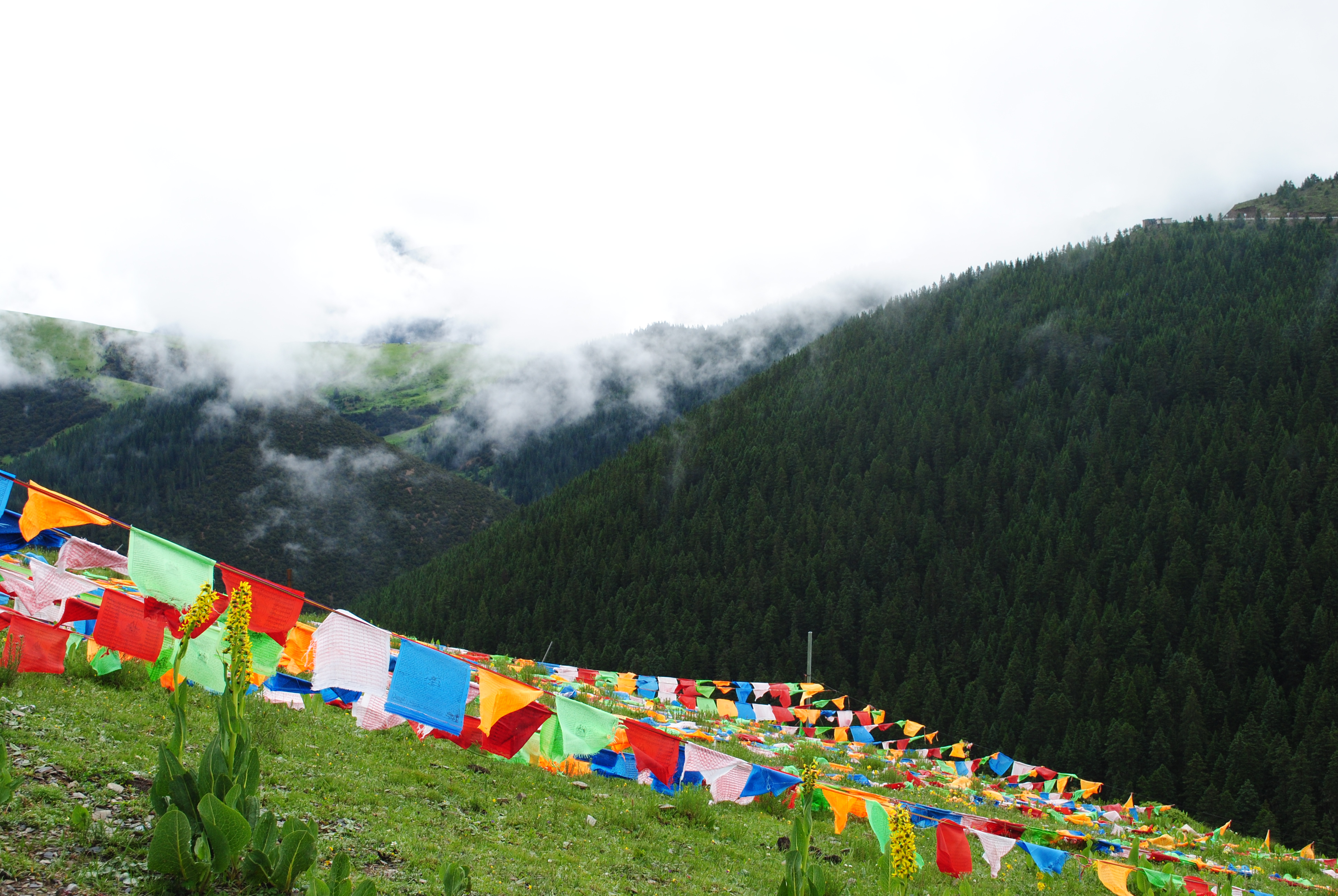 318川藏线自驾游别克,轿车可以自驾游西藏318川藏线