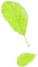 买的二手车小问题特别多怎么处理,后悔买二手车了经常出问题怎么办