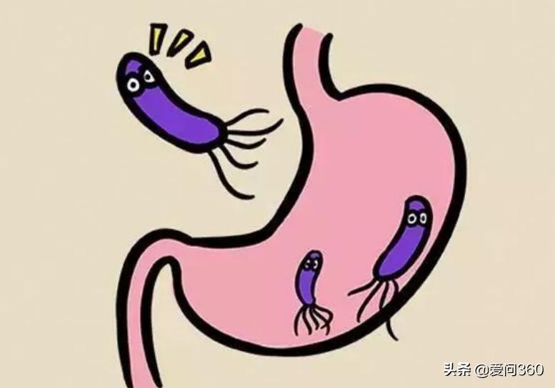 保护胃黏膜修复胃粘膜 (胃黏膜受损如何修复胃黏膜)