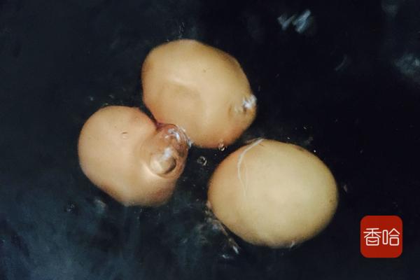 35年大厨告知煮鸡蛋时，牢记这一步，鸡蛋“自动”脱壳，超好剥