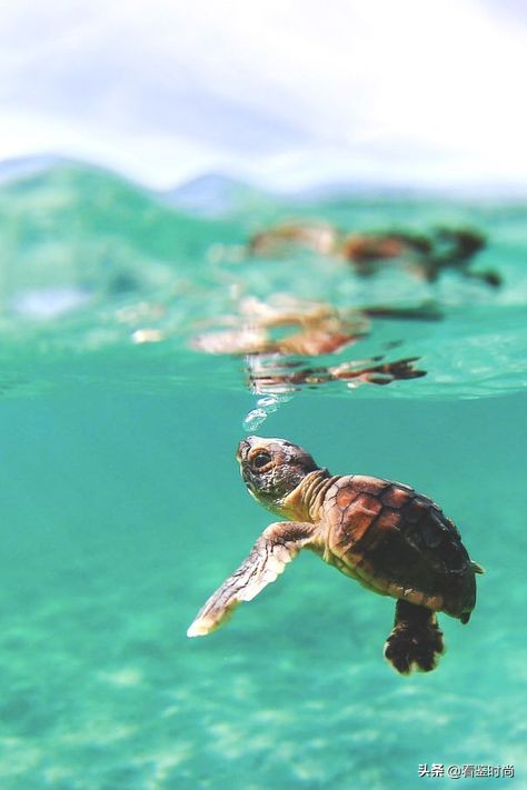 五种可以让头发长得快的秘诀,怎样把短头发扎成长头发