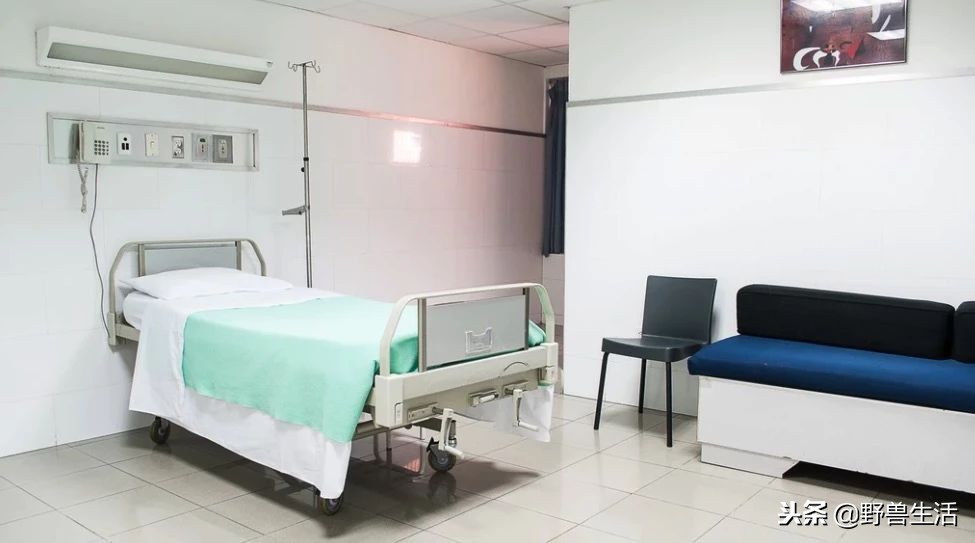 这4种维生素80%人非常缺,三秒判断出缺哪种维生素