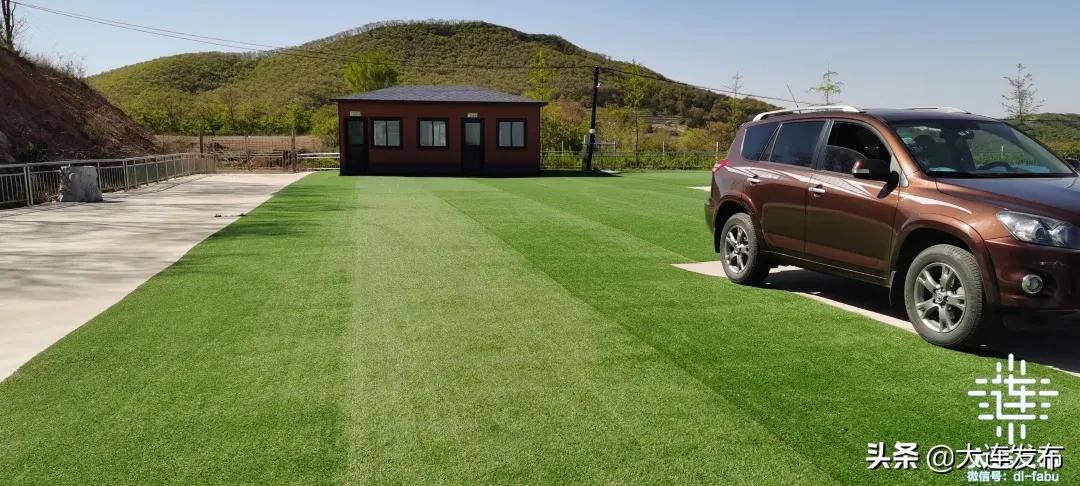 大连最美赏槐露营地,槐之乡露营地