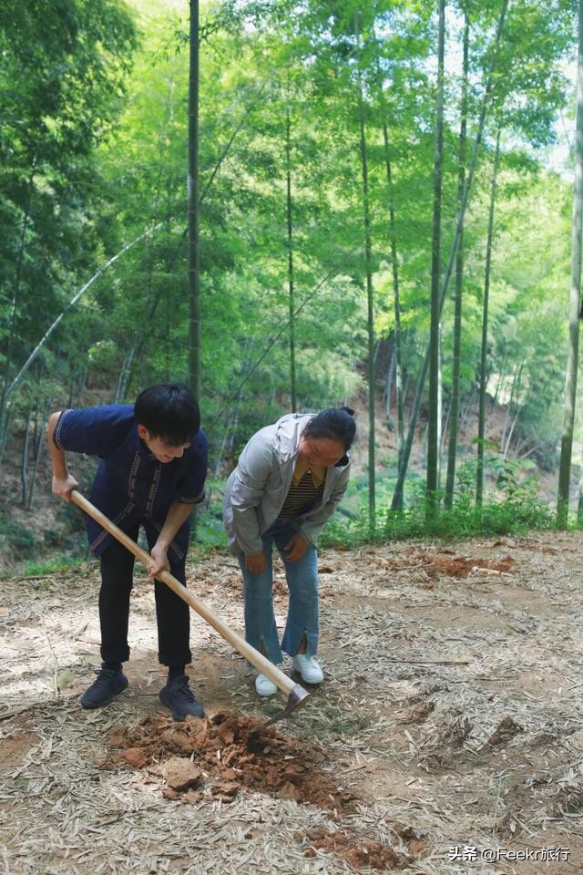 杭州自驾露营三日游,杭州三日游自驾最佳方案