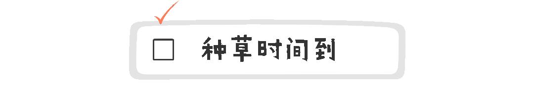 根据脸型选眼镜,根据脸型选镜框靠谱吗