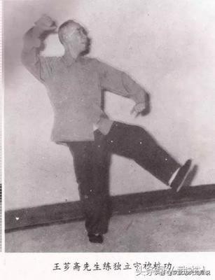 禅武山人说功夫:释译王芗斋先生原汁原味的养生桩原传功法歌诀