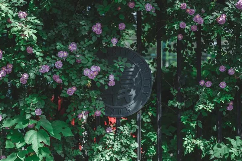 复旦大学，生日快乐！