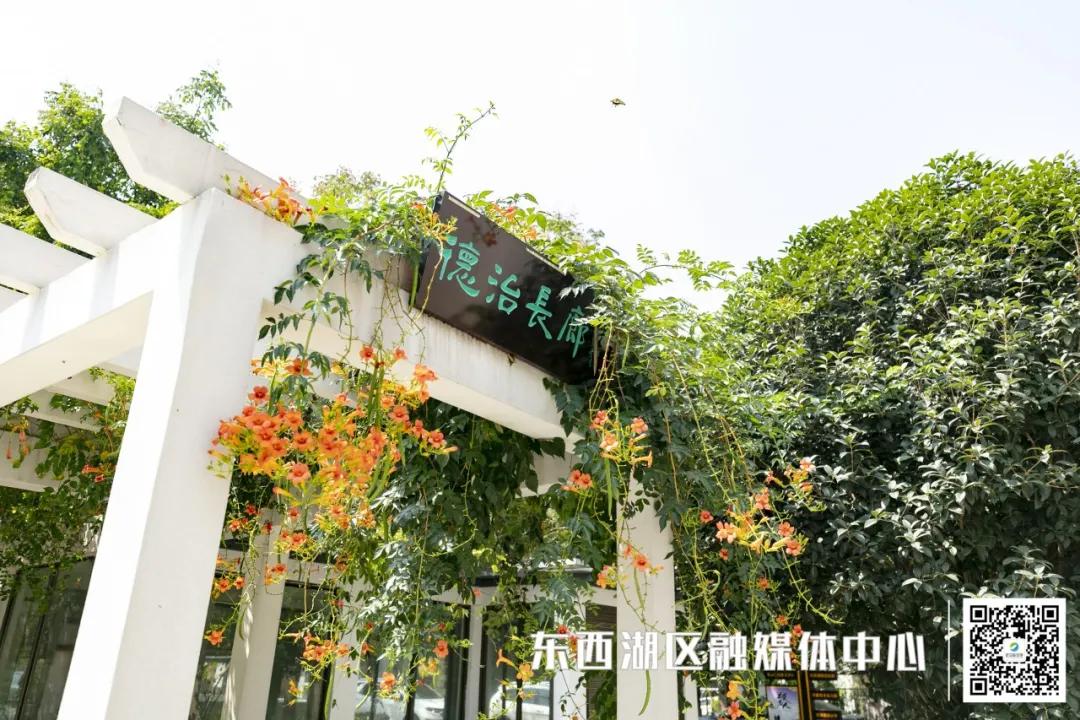 文明社区图片,文明社区简介