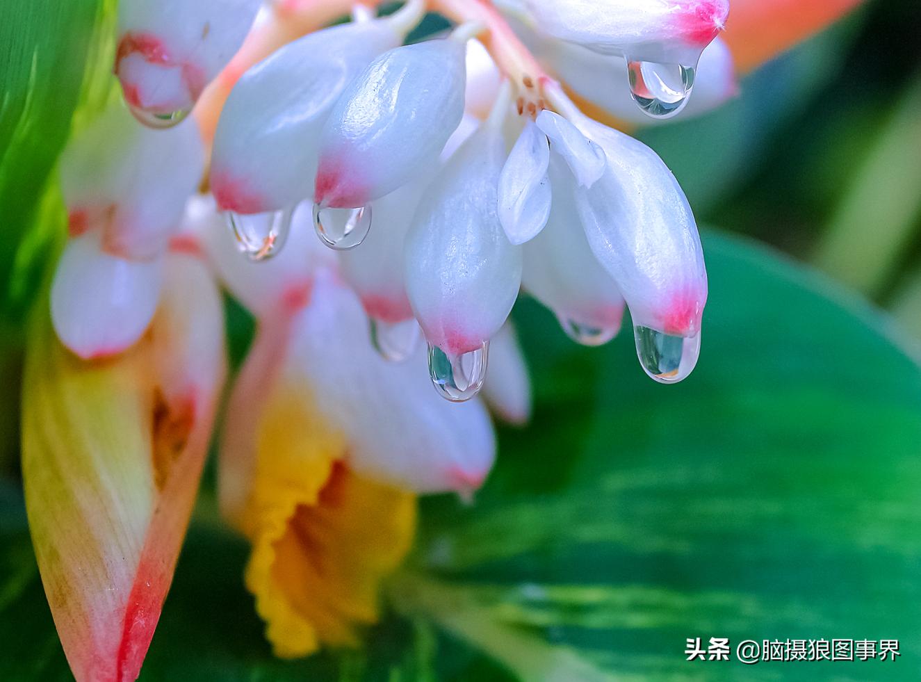 佳能550d配什么镜头拍摄效果好,佳能550d用18-55镜头怎么拍月亮