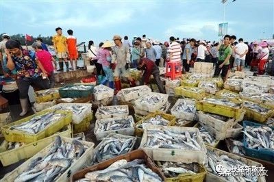 广东湛江本地海鲜海鱼,湛江海鲜鱼有哪些