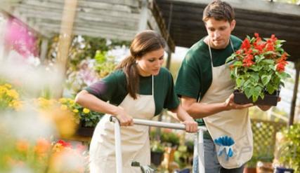 英国留学这些优势专业你可了解,英国留学魅力知乎