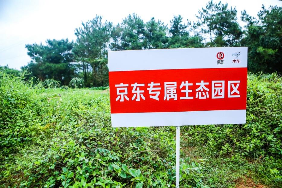 头发真的可以种出来吗,头发可以种出来揭秘植发效果