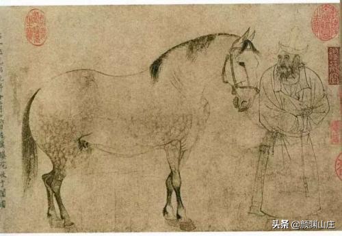 水调歌头诗词鉴赏3000字,水调歌头名篇朗诵