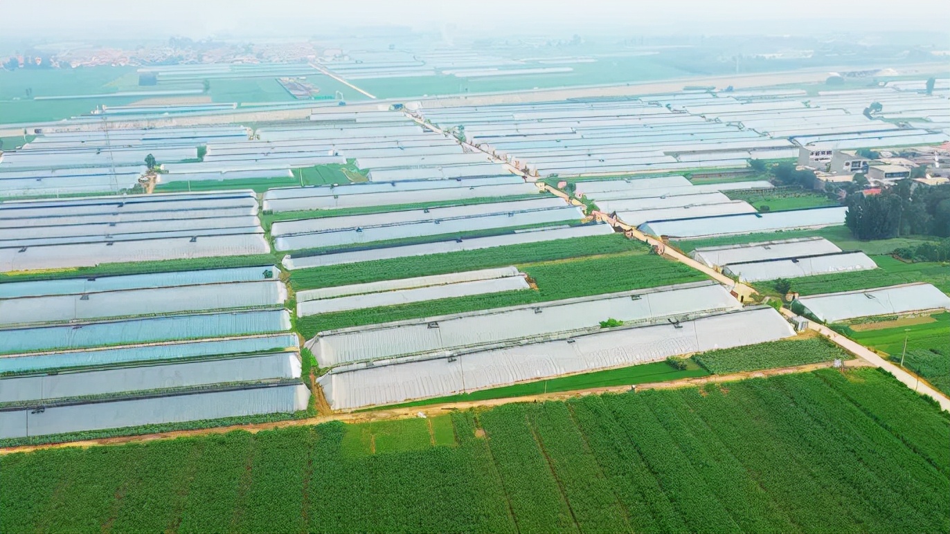 无极有“皮气”，百姓很“蔬服”，让人很“来电”