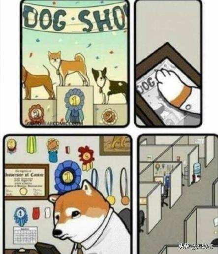 就算摔倒姿势也一定要帅,虽然哥