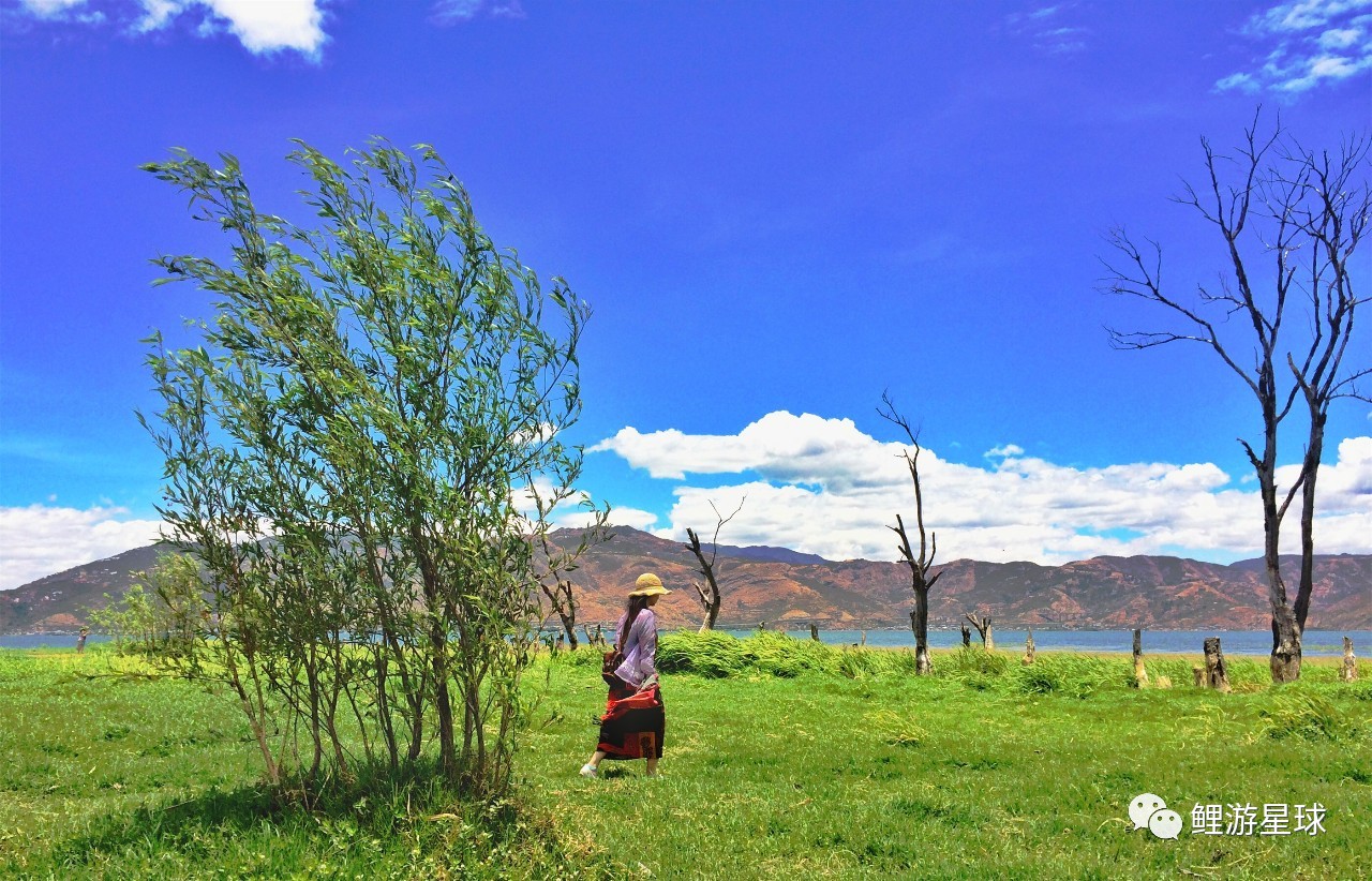 云南大理洱海网红景点打卡,云南大理好看的风景打卡处