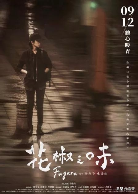 花椒之味深度解析,花椒之味完整版