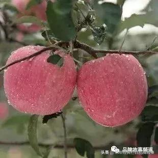 *安泰**市工商局:立足”5S“服务,弘扬挑山工精神