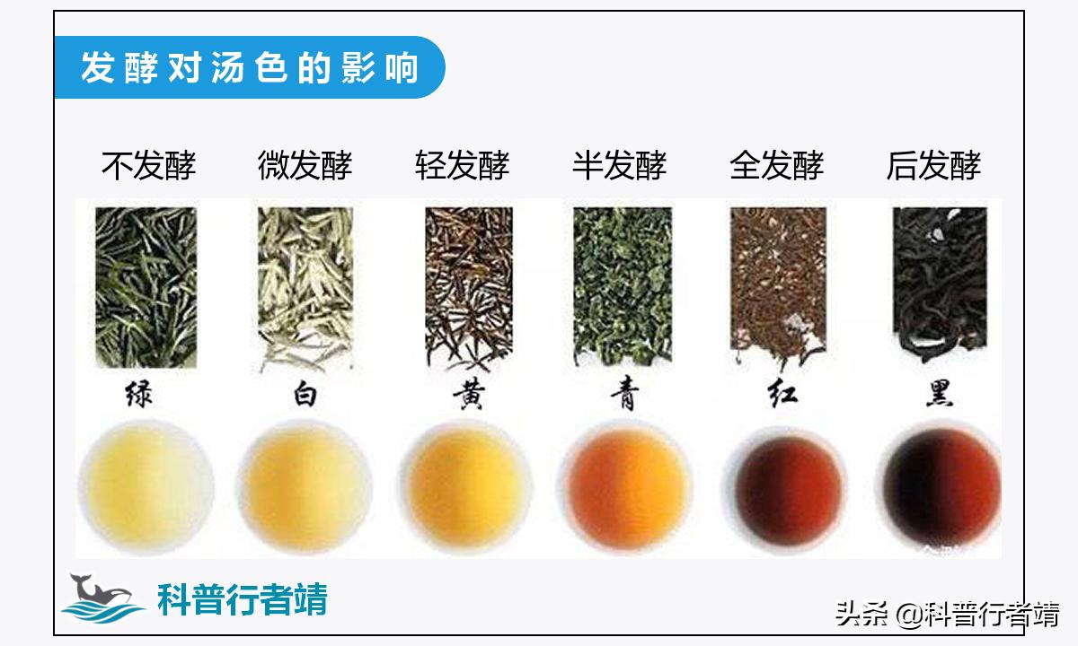 茶叶加工与讲解,茶叶的加工技巧有哪些