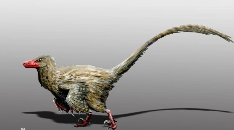 几种可以瞬间秒杀霸王龙的恐龙,各种各样的恐龙和霸王龙