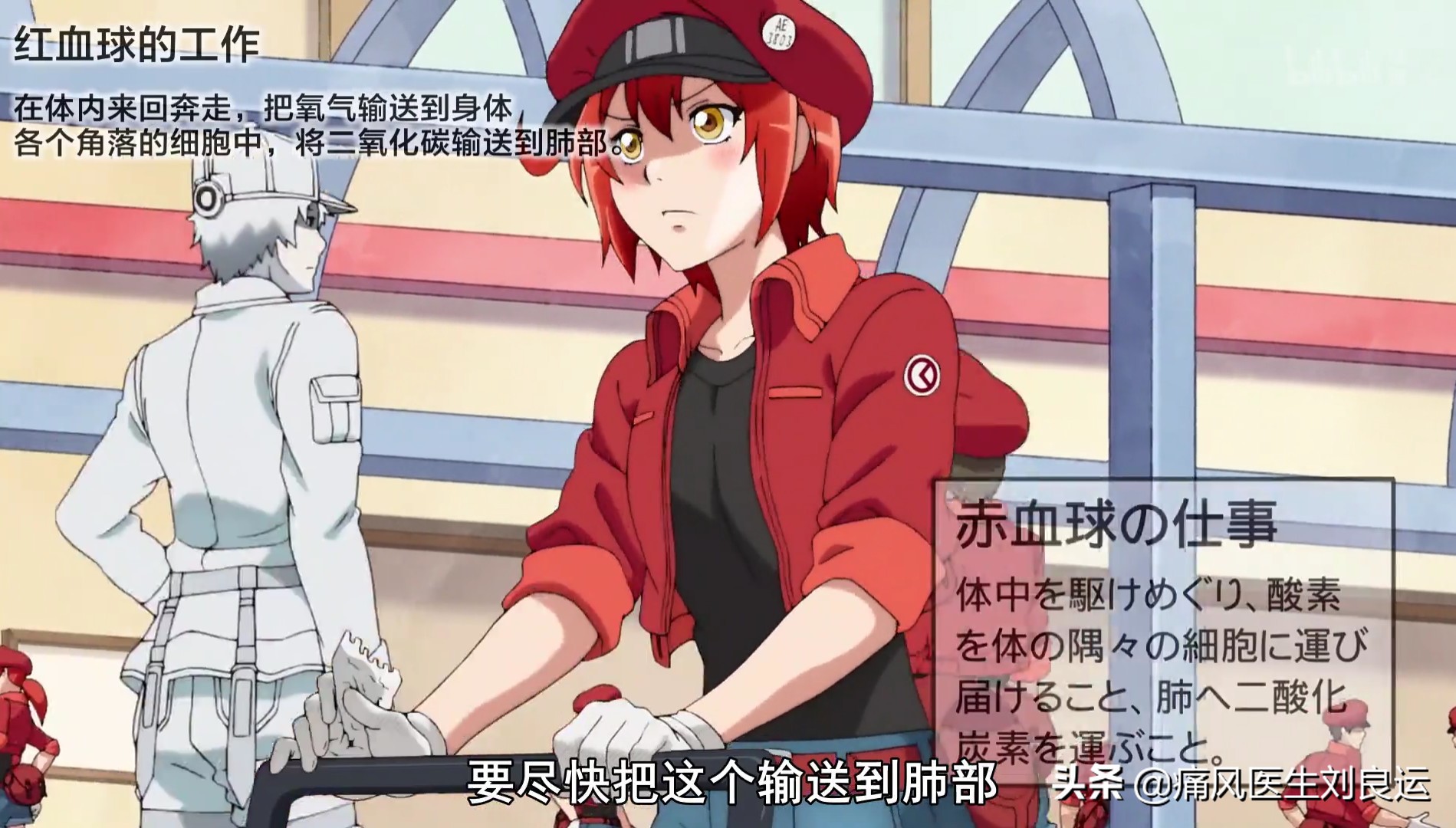 血常规crp的报告主要看什么意思,六个月宝宝体检血常规报告怎么看