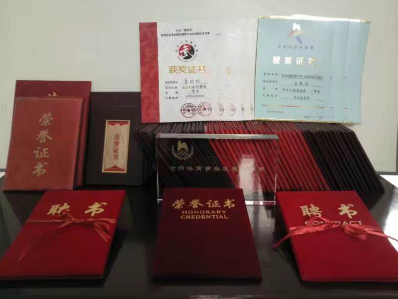 武术大师韩志超,沧州首富韩志超