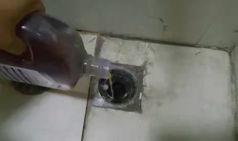 卫生间的小飞虫多什么原因,卫生间小飞虫是怎么长出来的