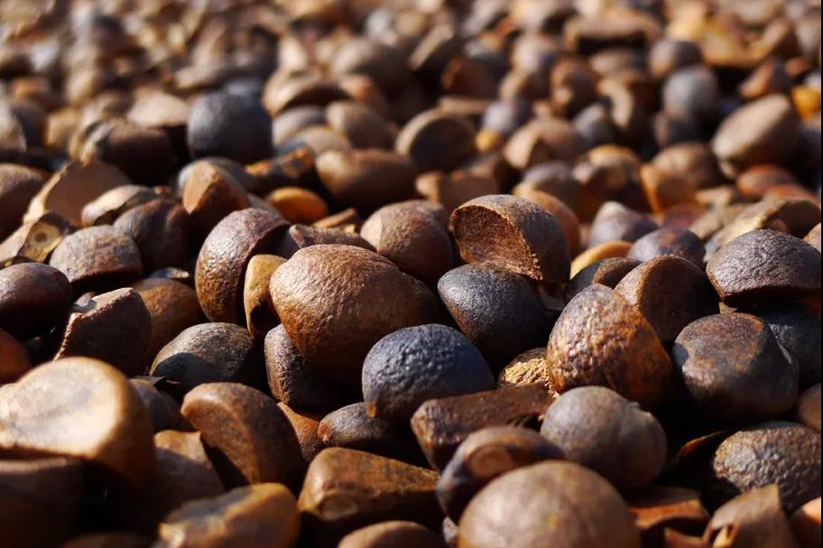 茶油护发素干枯毛躁修复顺滑,头发干枯擦茶油能保湿吗