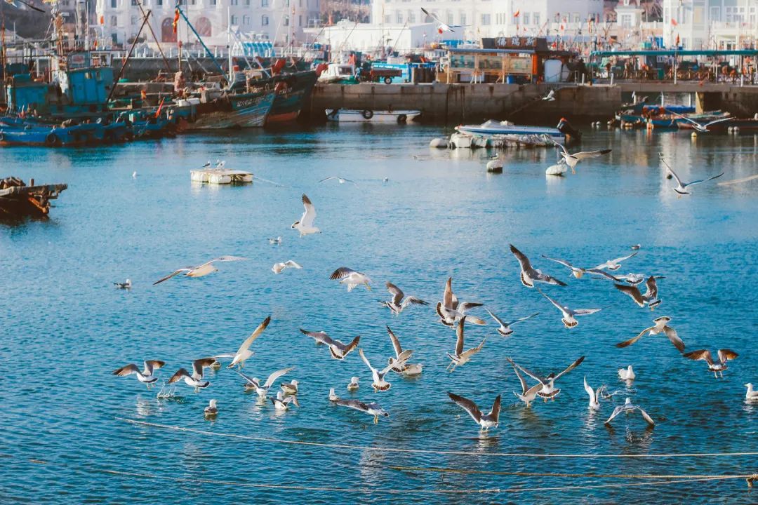 忽然想去旅游了,忽然想去宁波了