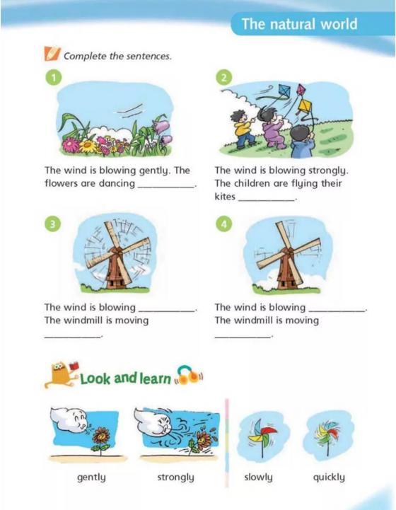 沪教牛津版五年级下册英语知识点,沪教牛津版五年级下句型转换练习