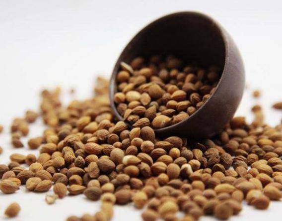 燥湿解表的中药有哪些,滋阴清热利湿中药