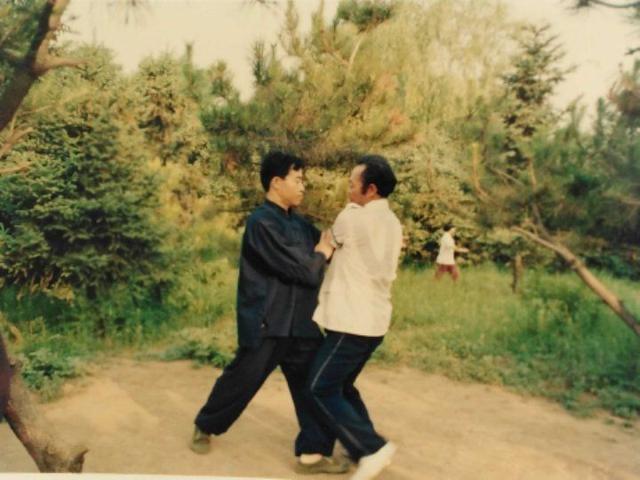 翟维传武式太极拳108式老架,葛传武太极拳