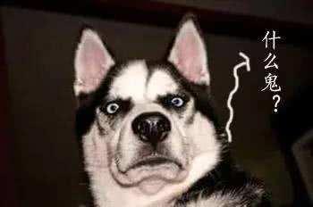 做胃肠镜为什么要五天才能出报告,做无痛胃肠镜需要做活检吗