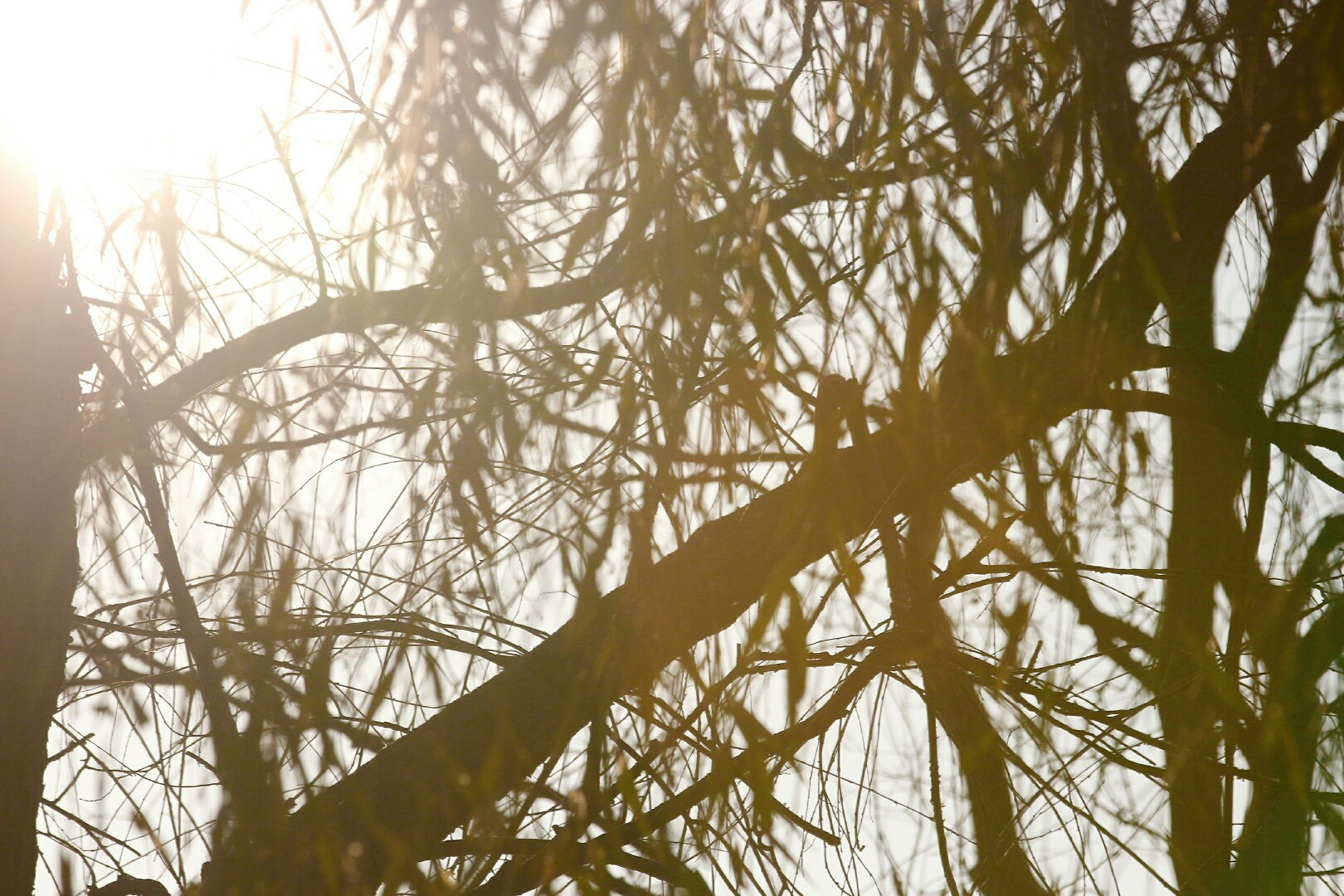 快来欣赏美丽的武汉江夏风景吧,武汉版马尔代夫免费景点