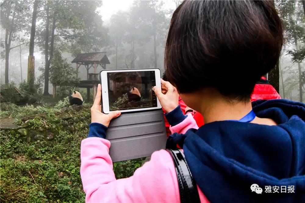 来雅安旅游,雅安二郎山休闲特色民宿