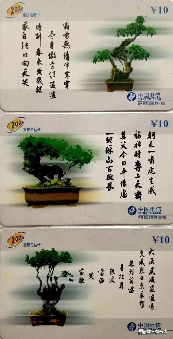 鐩嗘櫙鑱旂郴鐢佃瘽,鐩嗘櫙鑱旂郴鐢佃瘽鍙风爜