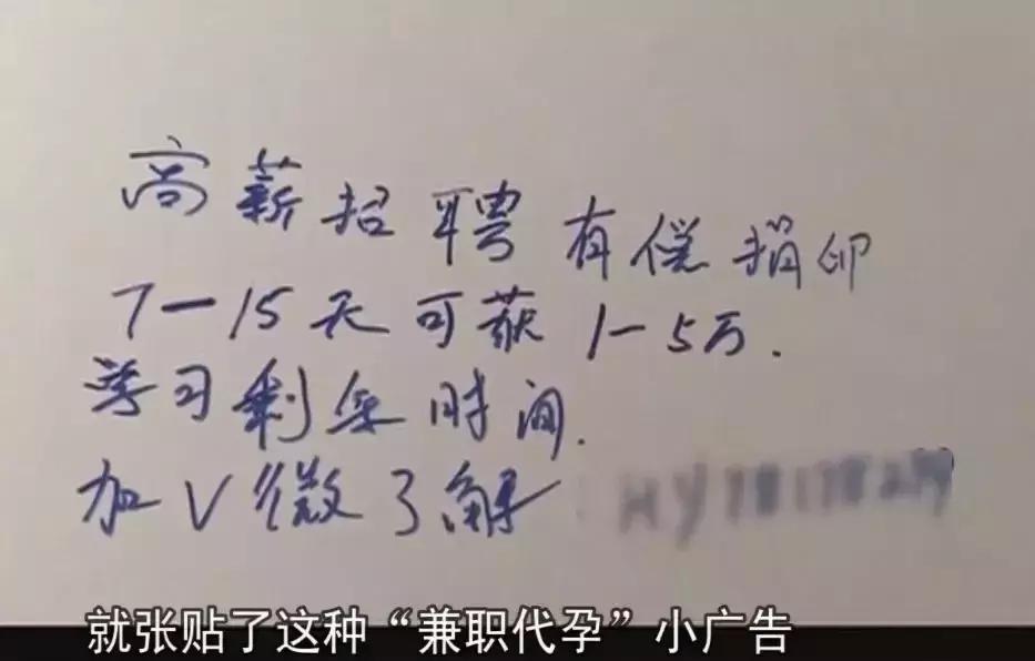 老公和婆婆背着儿媳,被“租子宫包生儿子”小广告骗了85万!活该