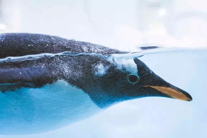 大连旅游攻略精致景点推荐,大连必去的打卡景点