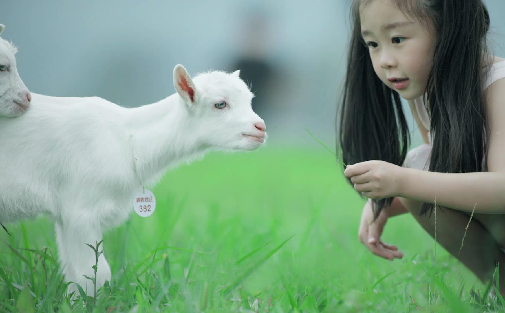 花牛真假奶粉怎么分辨,怎么辨别俄罗斯花牛牌奶粉真假