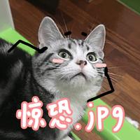 防脱发防发际线高的洗发水,推荐洗发水控油蓬松拯救发际线