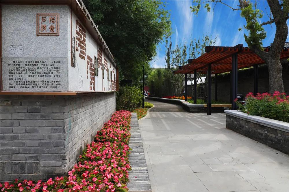 北新桥街道：奋进追梦新时代，不负韶华再出发