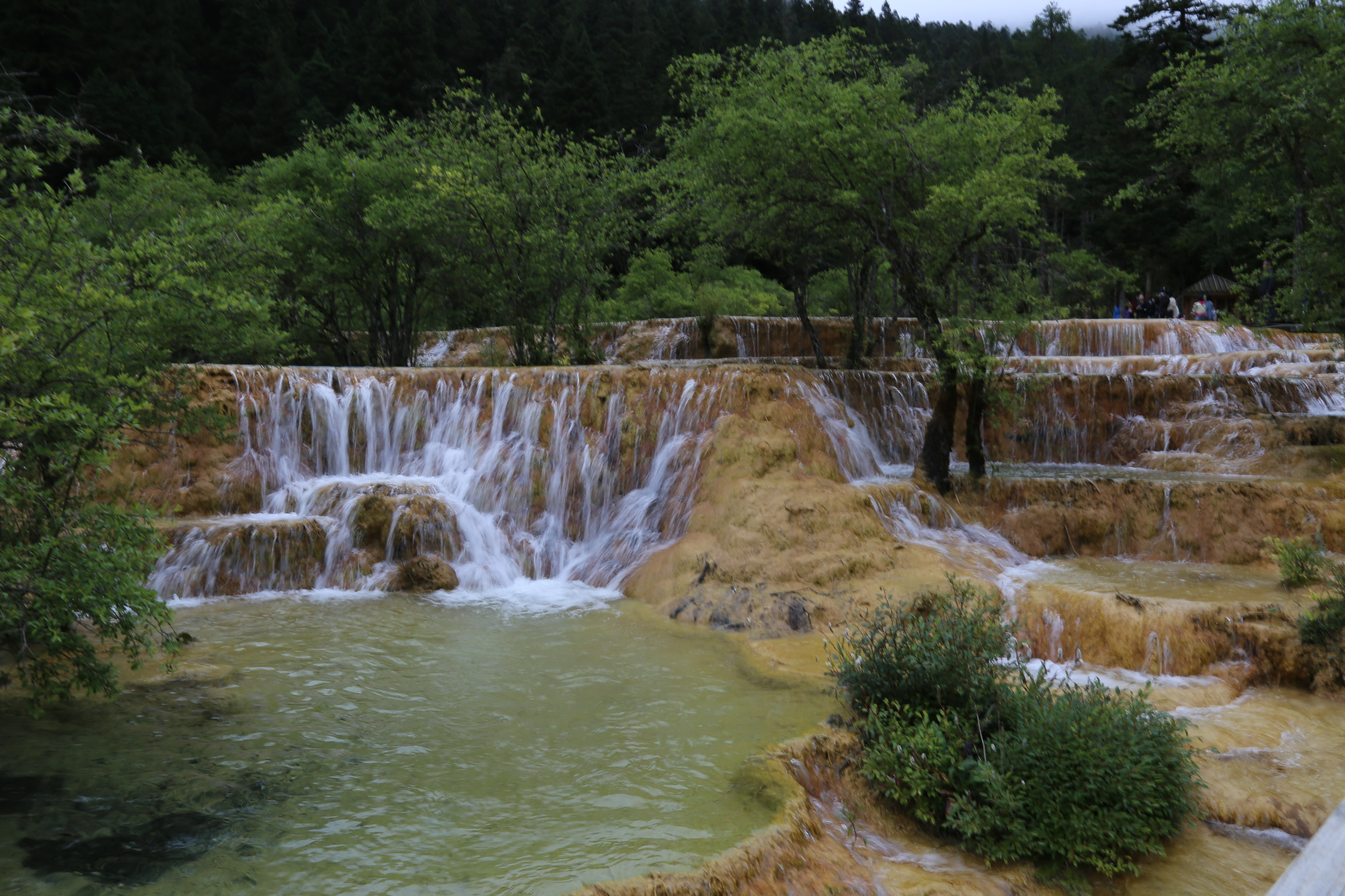 自驾游六——四川黄龙景区随笔